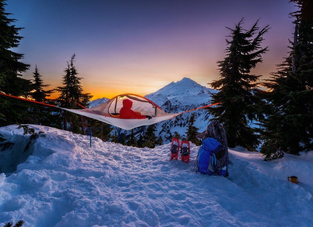 Tree Tent2