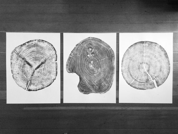 Tree Ring Prints