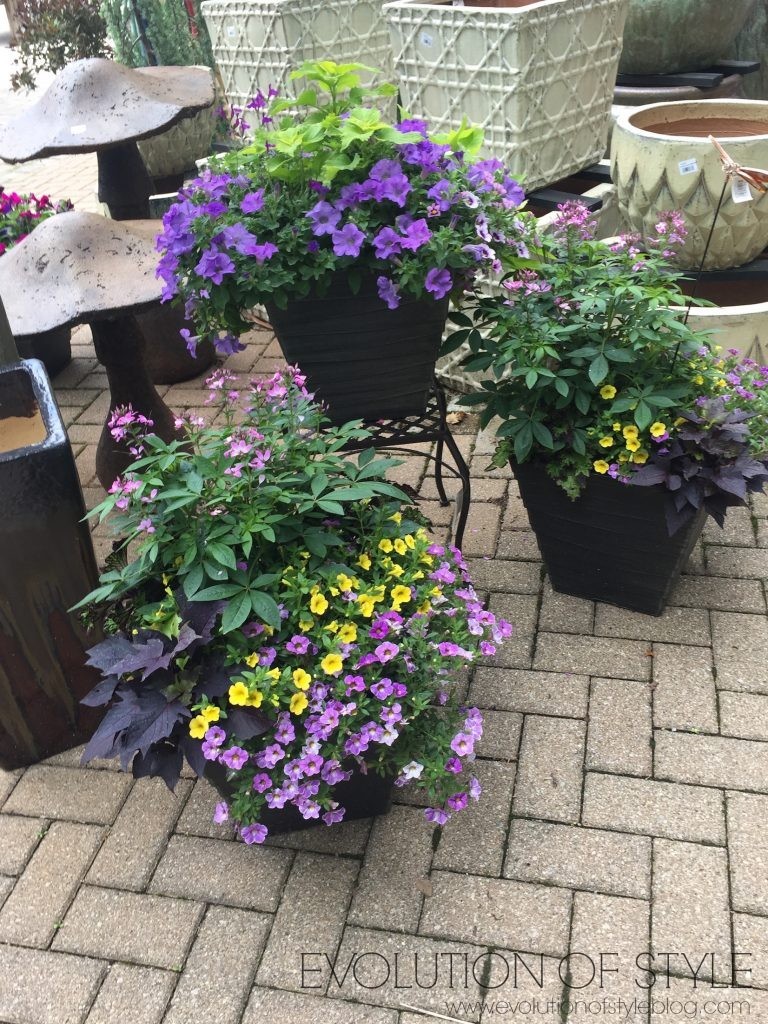 Outdoor Patio Pots