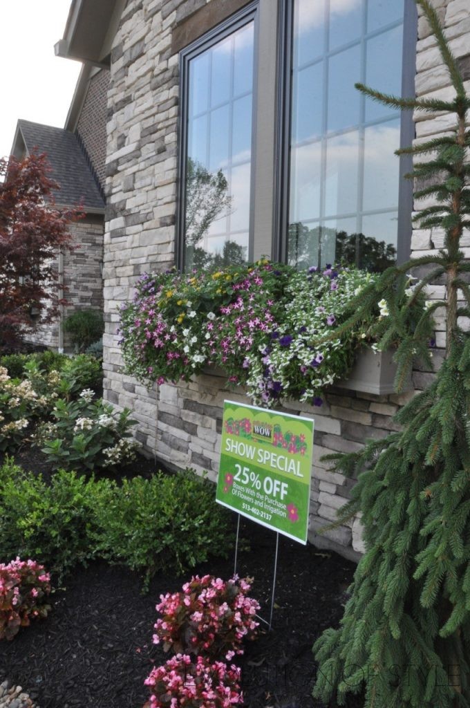 Window Boxes