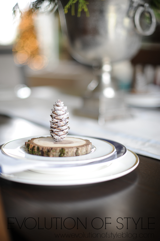 Pine cone dining room table setting