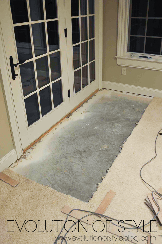 Walkout Basement with Carpet Removed