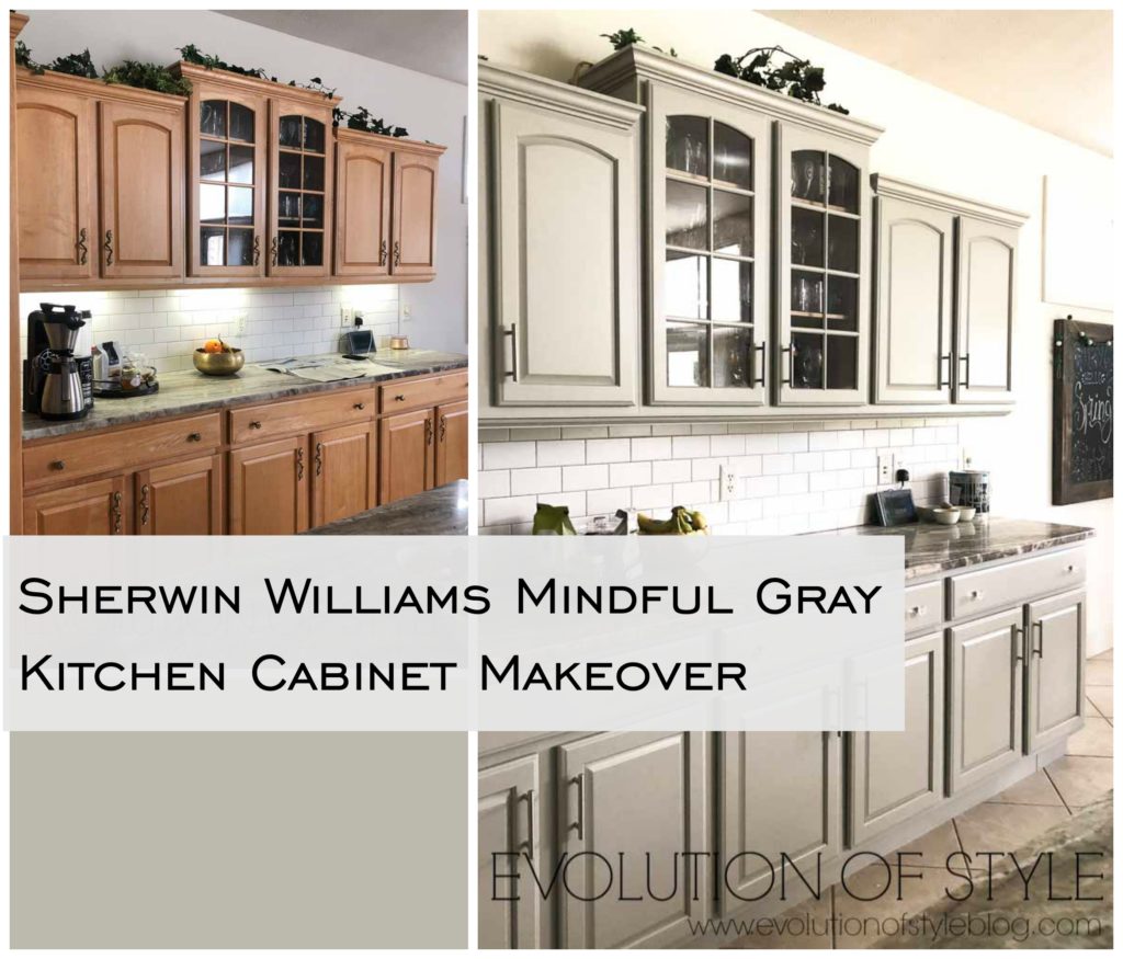 Sherwin Williams Mindful Gray Kitchen