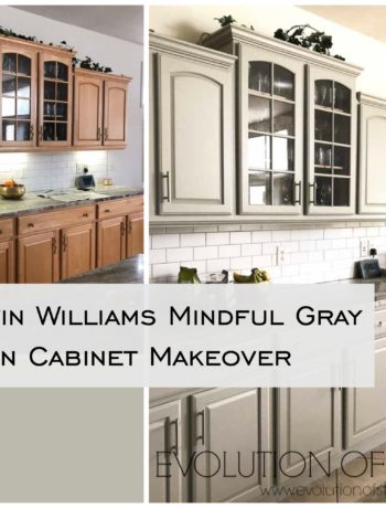 Sherwin Williams Mindful Gray Kitchen